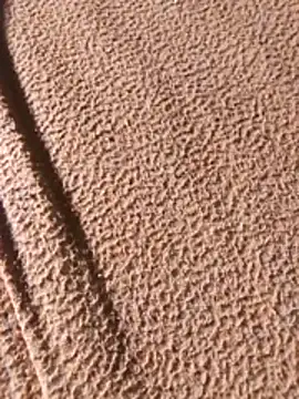 Snapshot of WillfulVideo chatting on February 7, 2026, 8:07 am WillfulVideo online show from February 7, 2026, 8:07 am