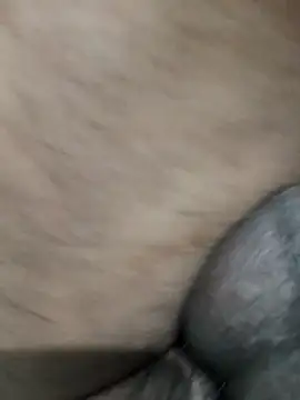 LEOMEGHA2026 online show from November 19, 2025, 4:51 pm