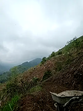 blonde blg online show from March 24, 2026, 3:33 am