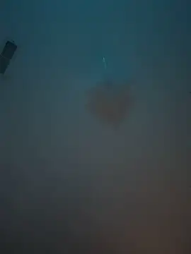 machineslut online show from June 15, 2026, 12:13 am