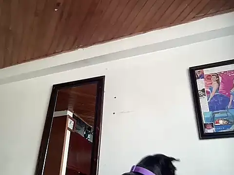 Snapshot of Dreana chatting on February 13, 2026, 4:58 pm Dreana online show from February 13, 2026, 4:58 pm