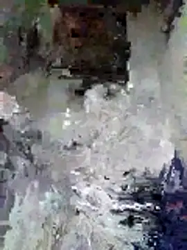 Snapshot of Junior_47 chatting on November 16, 2025, 8:31 am Junior 47 online show from November 16, 2025, 8:31 am