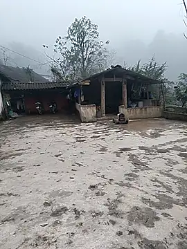 gugu0022 online show from January 16, 2026, 3:54 am