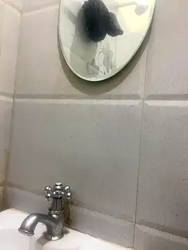 calibrow online show from January 14, 2026, 9:37 am