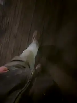 Phil-jae online show from November 21, 2025, 7:18 am