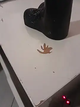 Snapshot of mi_vitor chatting on December 14, 2025, 3:45 am mi vitor online show from December 14, 2025, 3:45 am