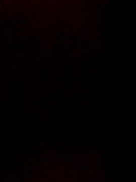 starnighcouple online show from December 22, 2025, 5:43 pm