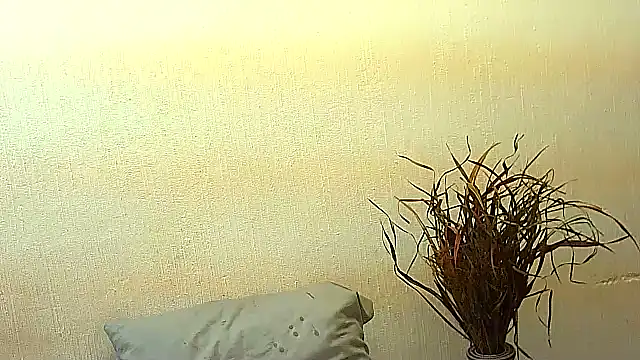 Snapshot of BrunetteNaomi8 chatting on July 4, 2026, 8:04 pm BrunetteNaomi8 online show from July 4, 2026, 8:04 pm