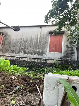 Miumiu95x online show from January 16, 2026, 9:35 am