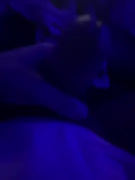 darknebula80 online show from February 25, 2026, 12:31 am