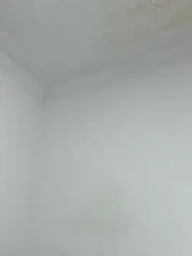 Snapshot of _Pamela_1 chatting on December 17, 2025, 2:39 am Pamela 1 online show from December 17, 2025, 2:39 am