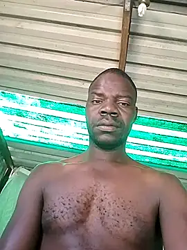 pdck2025 online show from November 22, 2025, 6:56 am