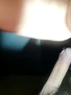 dieterrpuebl online show from December 22, 2025, 9:06 am