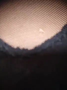 Snapshot of AnaMaria-12 chatting on December 17, 2025, 5:19 pm AnaMaria-12 online show from December 17, 2025, 5:19 pm