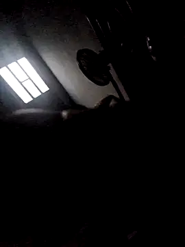 277T online show from December 23, 2025, 4:21 am