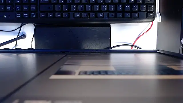 madisson 768 online show from February 24, 2026, 1:20 pm