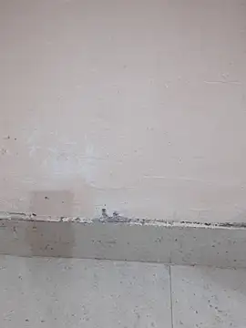 Snapshot of Alli8900 chatting on March 19, 2026, 4:11 pm Alli8900 online show from March 19, 2026, 4:11 pm