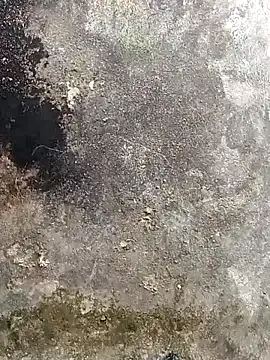 Snapshot of lynae-0 chatting on December 15, 2025, 5:12 am lynae-0 online show from December 15, 2025, 5:12 am