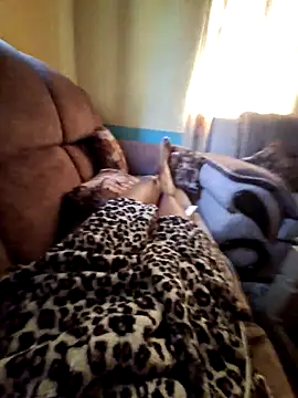 LIMAKATS0 online show from November 29, 2025, 8:17 am