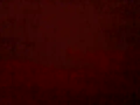 LIMAKATS0 online show from December 22, 2025, 6:38 pm