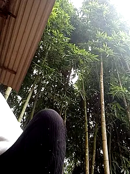 hey-bana online show from December 17, 2025, 3:34 am