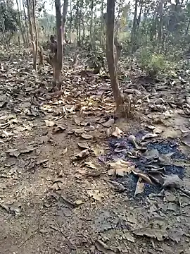 88zaifkhan88 online show from January 8, 2026, 4:37 am