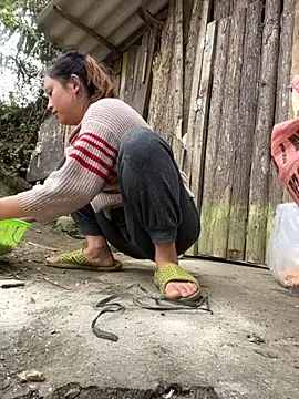 Snapshot of Thaoem chatting on December 4, 2025, 5:28 am Thaoem online show from December 4, 2025, 5:28 am