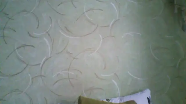 ClaireShannon online show from March 3, 2026, 8:20 am