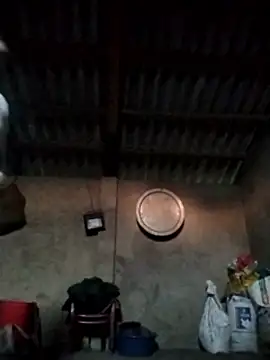 Snapshot of LeoPet2x chatting on December 15, 2025, 9:46 am LeoPet2x online show from December 15, 2025, 9:46 am