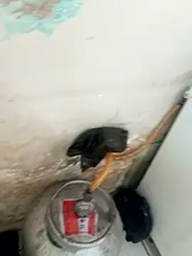 Snapshot of _-_putinha_- chatting on December 17, 2025, 3:18 pm - putinha - online show from December 17, 2025, 3:18 pm