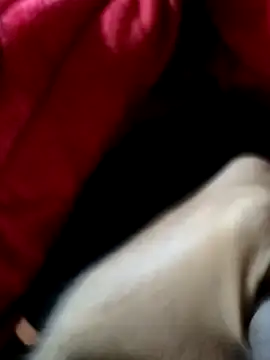 Snapshot of mast_boy chatting on December 14, 2025, 8:52 am mast boy online show from December 14, 2025, 8:52 am