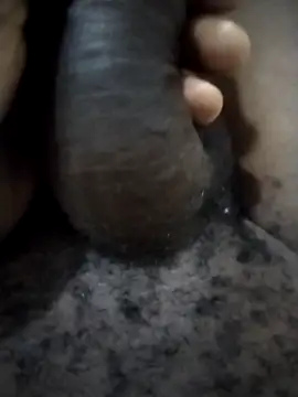 Snapshot of Piazza21 chatting on February 11, 2026, 4:50 am Piazza21 online show from February 11, 2026, 4:50 am