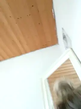 Snapshot of Milas_Dreams_OF chatting on December 15, 2025, 8:40 am Milas Dreams OF online show from December 15, 2025, 8:40 am