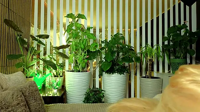 Snapshot of FlowweerGirl chatting on December 15, 2025, 9:41 pm FlowweerGirl online show from December 15, 2025, 9:41 pm