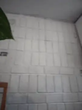 Snapshot of LuXarumi chatting on December 16, 2025, 7:52 pm LuXarumi online show from December 16, 2025, 7:52 pm