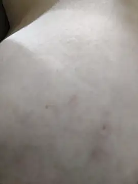 palomitka online show from February 11, 2026, 5:45 am