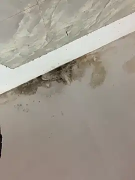 Snapshot of Mon_babyy chatting on February 10, 2026, 4:27 am Mon babyy online show from February 10, 2026, 4:27 am