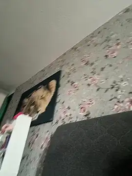 Alexmarcov online show from April 3, 2026, 10:35 am