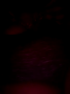 pihuu1313 online show from February 20, 2026, 7:58 pm