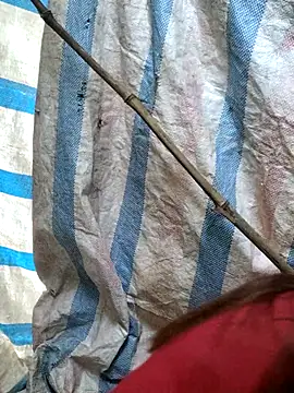 mit0-77 online show from February 15, 2026, 12:51 am