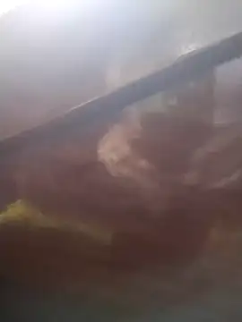 neko-nancy online show from February 13, 2026, 2:24 pm