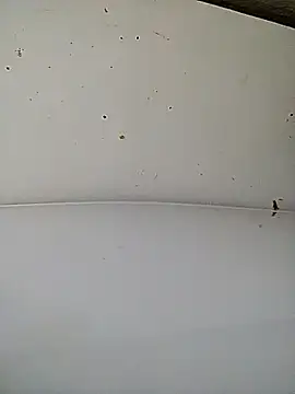 Julie9toma online show from December 21, 2025, 12:01 pm