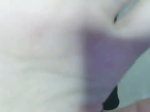 Snapshot of Fish_136 chatting on June 3, 2026, 12:30 pm Fish 136 online show from June 3, 2026, 12:30 pm