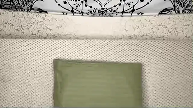 Shining Robi online show from April 10, 2026, 1:16 pm