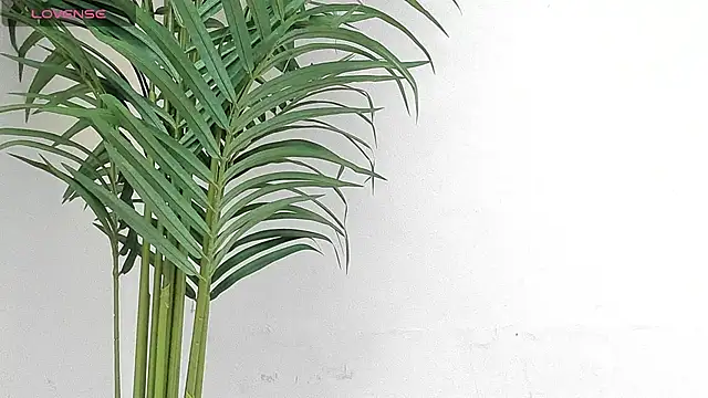 Snapshot of sebastamayo_ chatting on January 9, 2026, 8:54 pm sebastamayo online show from January 9, 2026, 8:54 pm