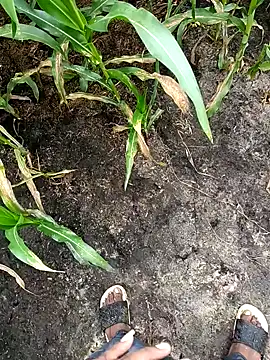 loki-king-143 online show from February 24, 2026, 3:59 am