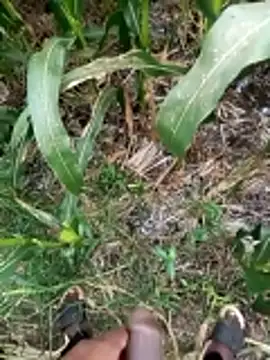 loki-king-143 online show from March 9, 2026, 9:46 am