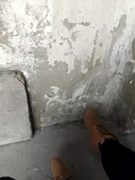 Snapshot of Mar81 chatting on February 12, 2026, 1:06 pm Mar81 online show from February 12, 2026, 1:06 pm