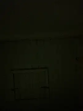 Snapshot of reckless_34 chatting on February 7, 2026, 11:52 pm reckless 34 online show from February 7, 2026, 11:52 pm