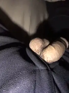 Snapshot of lion_kun chatting on December 15, 2025, 9:13 am lion kun online show from December 15, 2025, 9:13 am